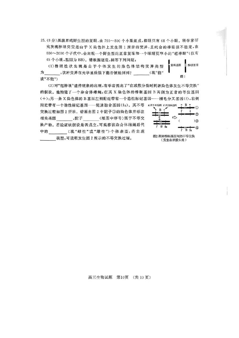 生物_2024-2025高三（6-6月题库）_2024年11月试卷_11152025届山东名校考试联盟高三上学期期中检测（全科）_山东省名校考试联盟2024-2025学年高三上学期期中考试生物