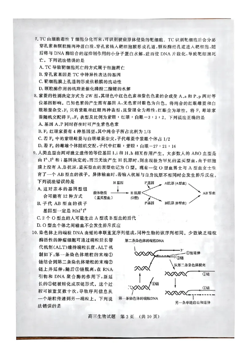生物_2024-2025高三（6-6月题库）_2024年11月试卷_11152025届山东名校考试联盟高三上学期期中检测（全科）_山东省名校考试联盟2024-2025学年高三上学期期中考试生物