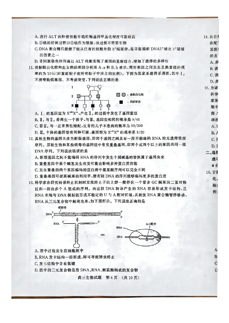 生物_2024-2025高三（6-6月题库）_2024年11月试卷_11152025届山东名校考试联盟高三上学期期中检测（全科）_山东省名校考试联盟2024-2025学年高三上学期期中考试生物