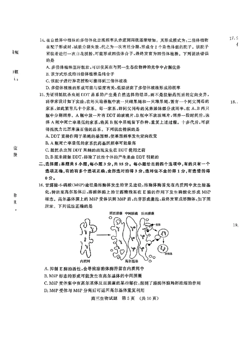 生物_2024-2025高三（6-6月题库）_2024年11月试卷_11152025届山东名校考试联盟高三上学期期中检测（全科）_山东省名校考试联盟2024-2025学年高三上学期期中考试生物