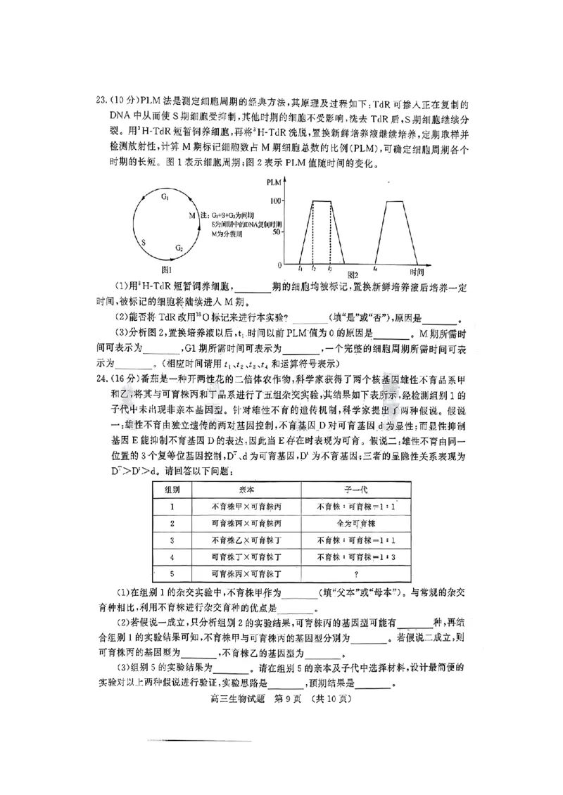 生物_2024-2025高三（6-6月题库）_2024年11月试卷_11152025届山东名校考试联盟高三上学期期中检测（全科）_山东省名校考试联盟2024-2025学年高三上学期期中考试生物