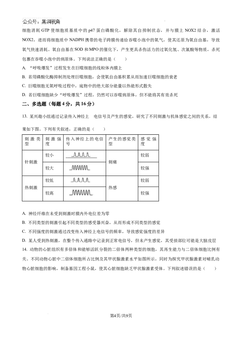 精品解析：江西省南昌市东湖区南昌市第二中学2024-2025学年高三上学期11月月考生物试题（原卷版）_2024-2026高三（6-6月题库）_2024年12月试卷