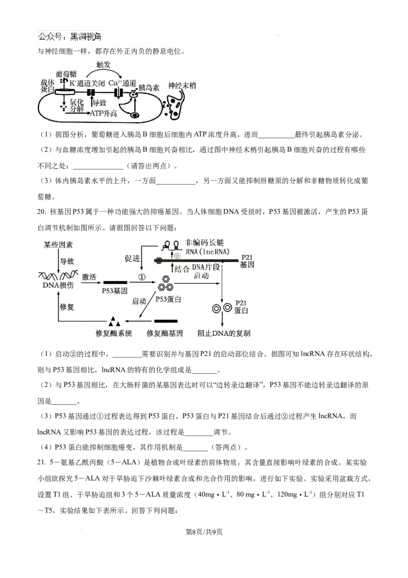 精品解析：江西省南昌市东湖区南昌市第二中学2024-2025学年高三上学期11月月考生物试题（原卷版）_2024-2026高三（6-6月题库）_2024年12月试卷