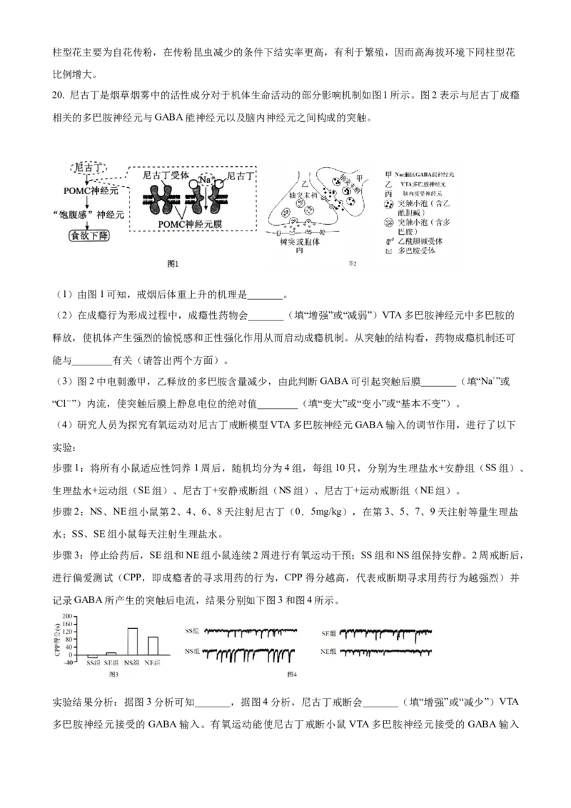 湖北省襄阳市第四中学2025-2026学年高二上学期10月月考生物试题Word版含解析_2025年11月高二试卷_251101湖北省襄阳市第四中学2025-2026学年高二上学期10月月考（全）