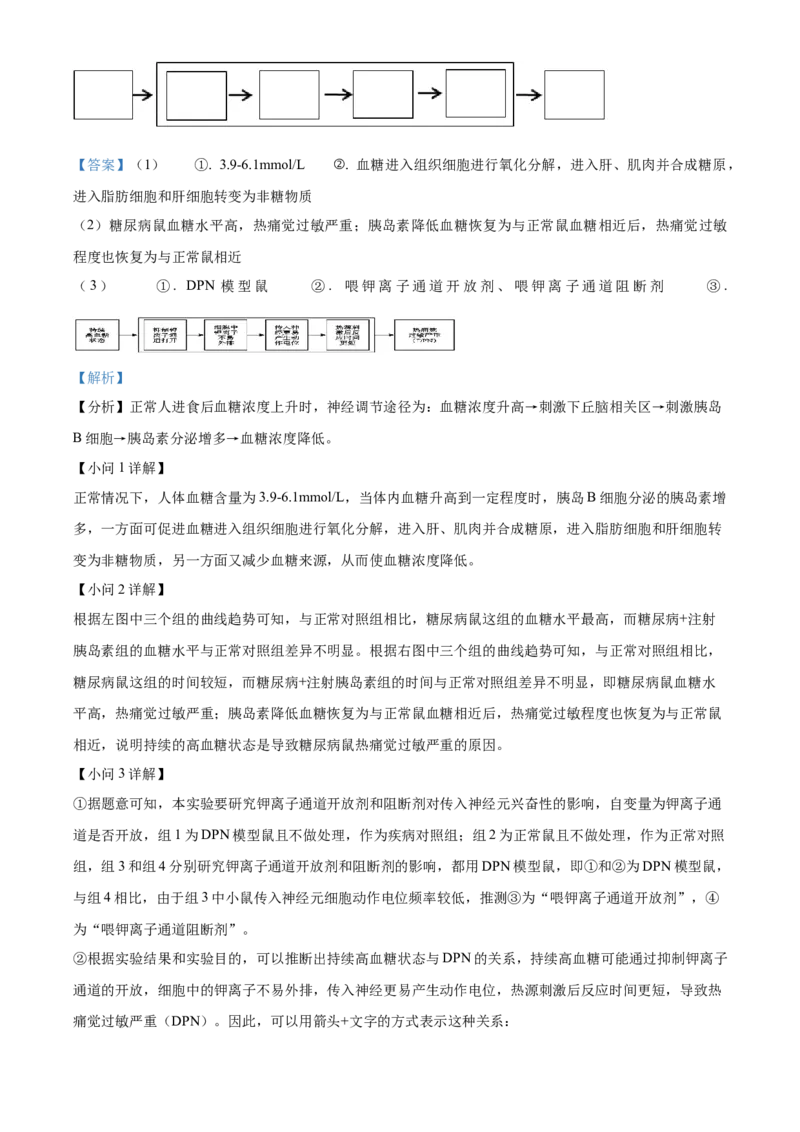 湖北省襄阳市第四中学2025-2026学年高二上学期10月月考生物试题Word版含解析_2025年11月高二试卷_251101湖北省襄阳市第四中学2025-2026学年高二上学期10月月考（全）