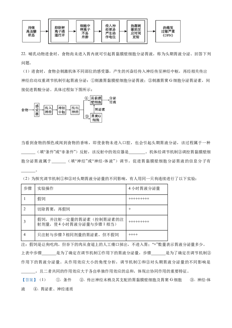 湖北省襄阳市第四中学2025-2026学年高二上学期10月月考生物试题Word版含解析_2025年11月高二试卷_251101湖北省襄阳市第四中学2025-2026学年高二上学期10月月考（全）