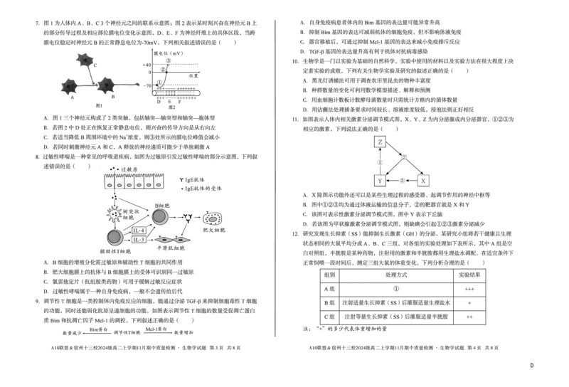 生物（D卷）A10联盟＆宿州十三校2024级高二上学期11月期中质量检测生物学d_2025年11月高二试卷_251124安徽省A10联盟＆宿州十三校2024级高二上学期11月期中质量检测（全）