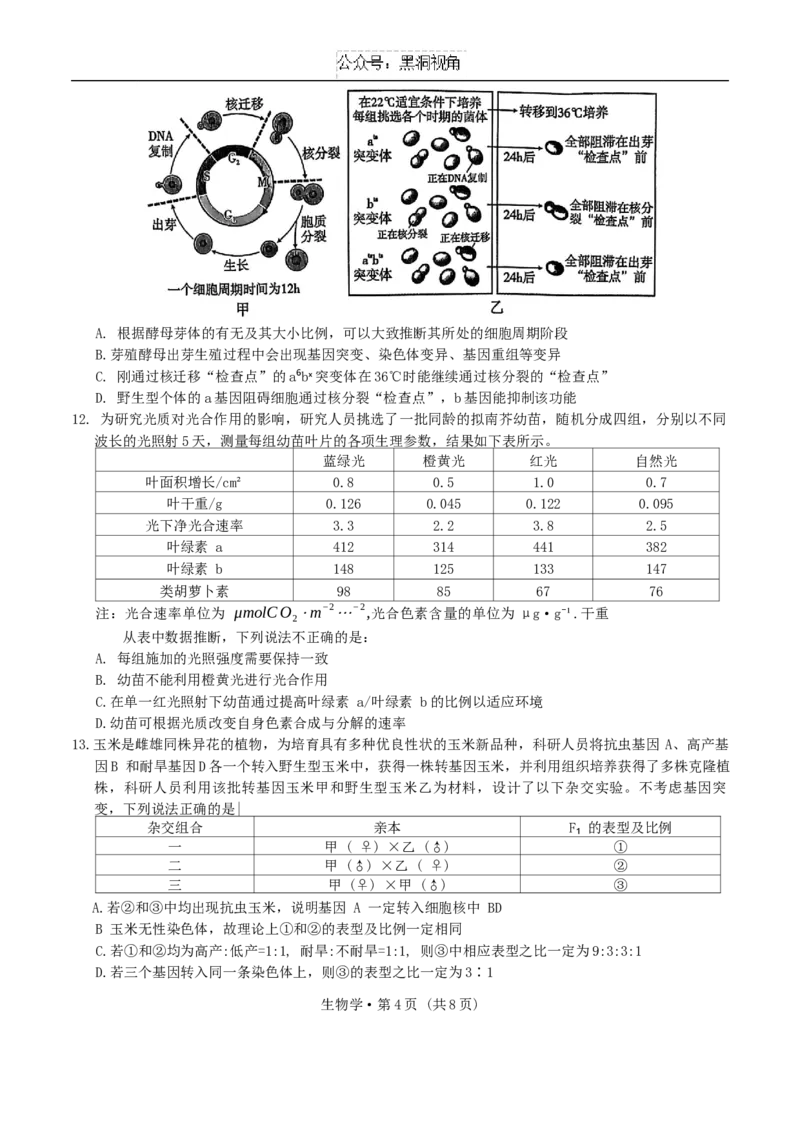 重庆市第一中学校2024-2025学年高三上学期11月期中生物学试题卷_2024-2025高三（6-6月题库）_2024年12月试卷_1202重庆市第一中学校2024-2025学年高三上学期11月期中考试（全科）