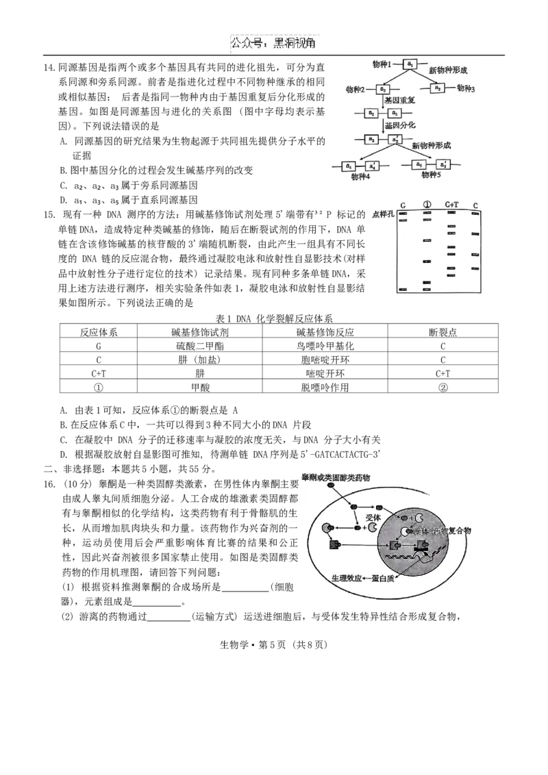 重庆市第一中学校2024-2025学年高三上学期11月期中生物学试题卷_2024-2025高三（6-6月题库）_2024年12月试卷_1202重庆市第一中学校2024-2025学年高三上学期11月期中考试（全科）