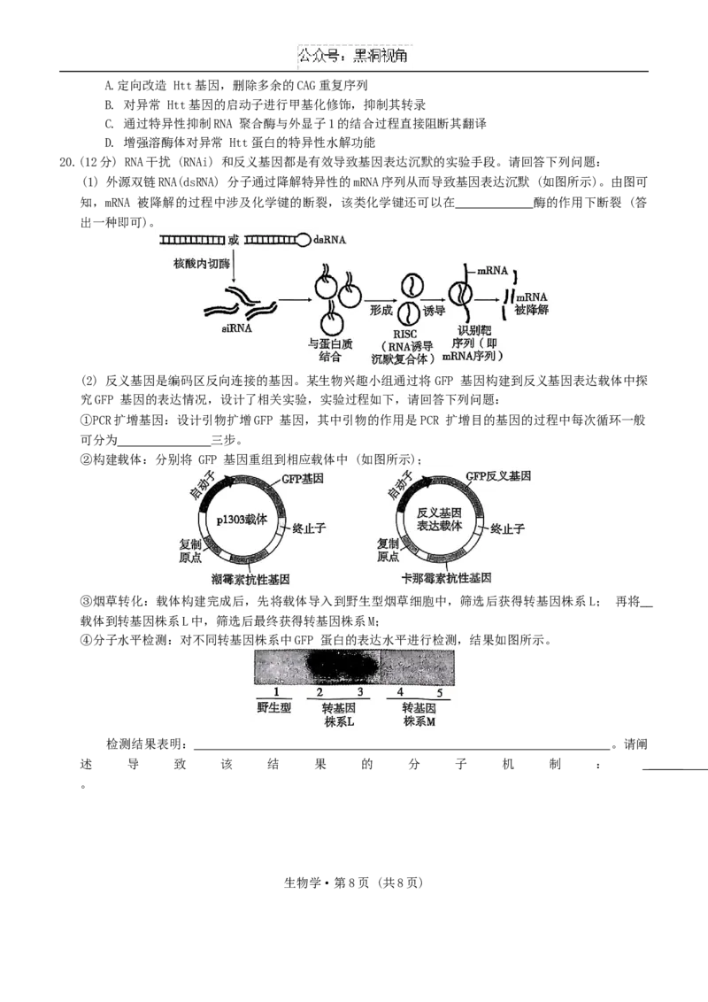 重庆市第一中学校2024-2025学年高三上学期11月期中生物学试题卷_2024-2025高三（6-6月题库）_2024年12月试卷_1202重庆市第一中学校2024-2025学年高三上学期11月期中考试（全科）