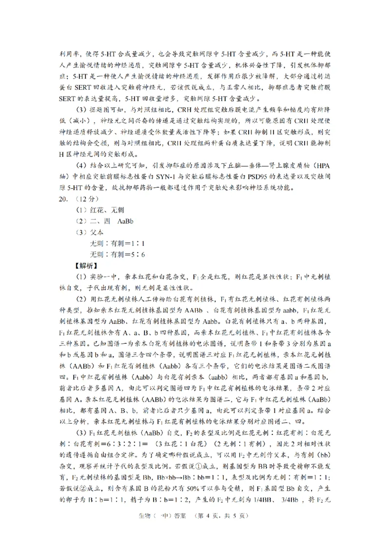 湖南省长沙市一中2024-2025学年高三上学期阶段性检测（一）生物+答案_2024-2025高三（6-6月题库）_2024年09月试卷_0916湖南省长沙市一中2024-2025学年高三上学期阶段性检测（一）