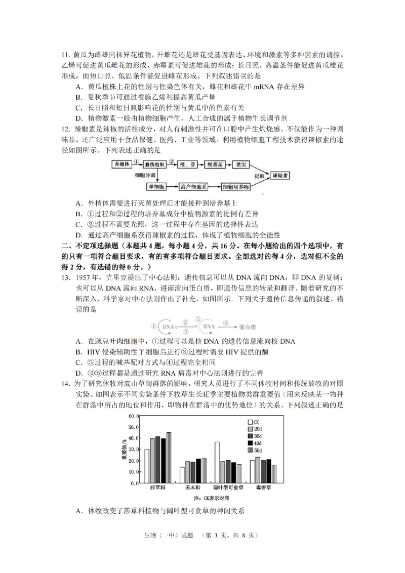 湖南省长沙市一中2024-2025学年高三上学期阶段性检测（一）生物+答案_2024-2025高三（6-6月题库）_2024年09月试卷_0916湖南省长沙市一中2024-2025学年高三上学期阶段性检测（一）
