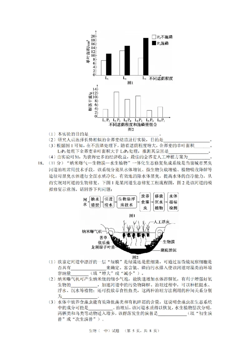 湖南省长沙市一中2024-2025学年高三上学期阶段性检测（一）生物+答案_2024-2025高三（6-6月题库）_2024年09月试卷_0916湖南省长沙市一中2024-2025学年高三上学期阶段性检测（一）