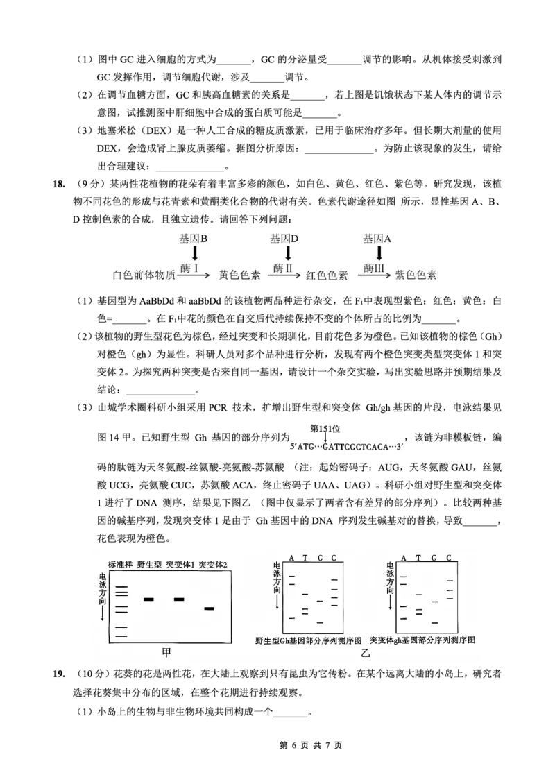 重庆实验外国语学校2025-2026学年度（上）高2026届1月期末考试（七）生物_2024-2026高三（6-6月题库）_2026年01月高三试卷