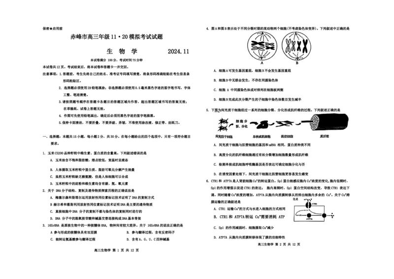 生物(3)_2024-2025高三（6-6月题库）_2024年11月试卷_1124内蒙古赤峰市2024-2025学年高三11月模拟考试（全科）_内蒙古赤峰市2024-2025学年高三11月模拟考试生物试题
