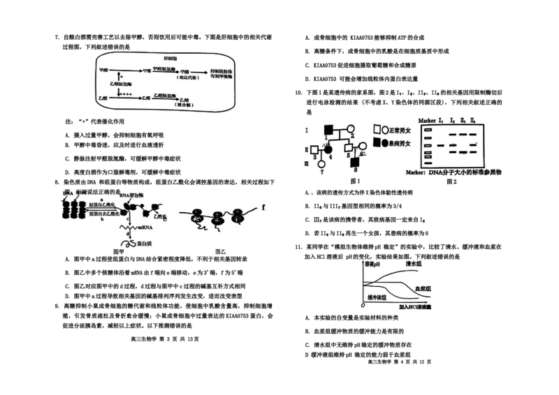 生物(3)_2024-2025高三（6-6月题库）_2024年11月试卷_1124内蒙古赤峰市2024-2025学年高三11月模拟考试（全科）_内蒙古赤峰市2024-2025学年高三11月模拟考试生物试题