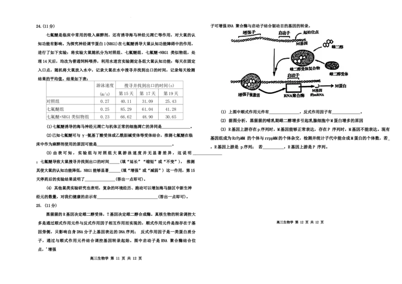 生物(3)_2024-2025高三（6-6月题库）_2024年11月试卷_1124内蒙古赤峰市2024-2025学年高三11月模拟考试（全科）_内蒙古赤峰市2024-2025学年高三11月模拟考试生物试题