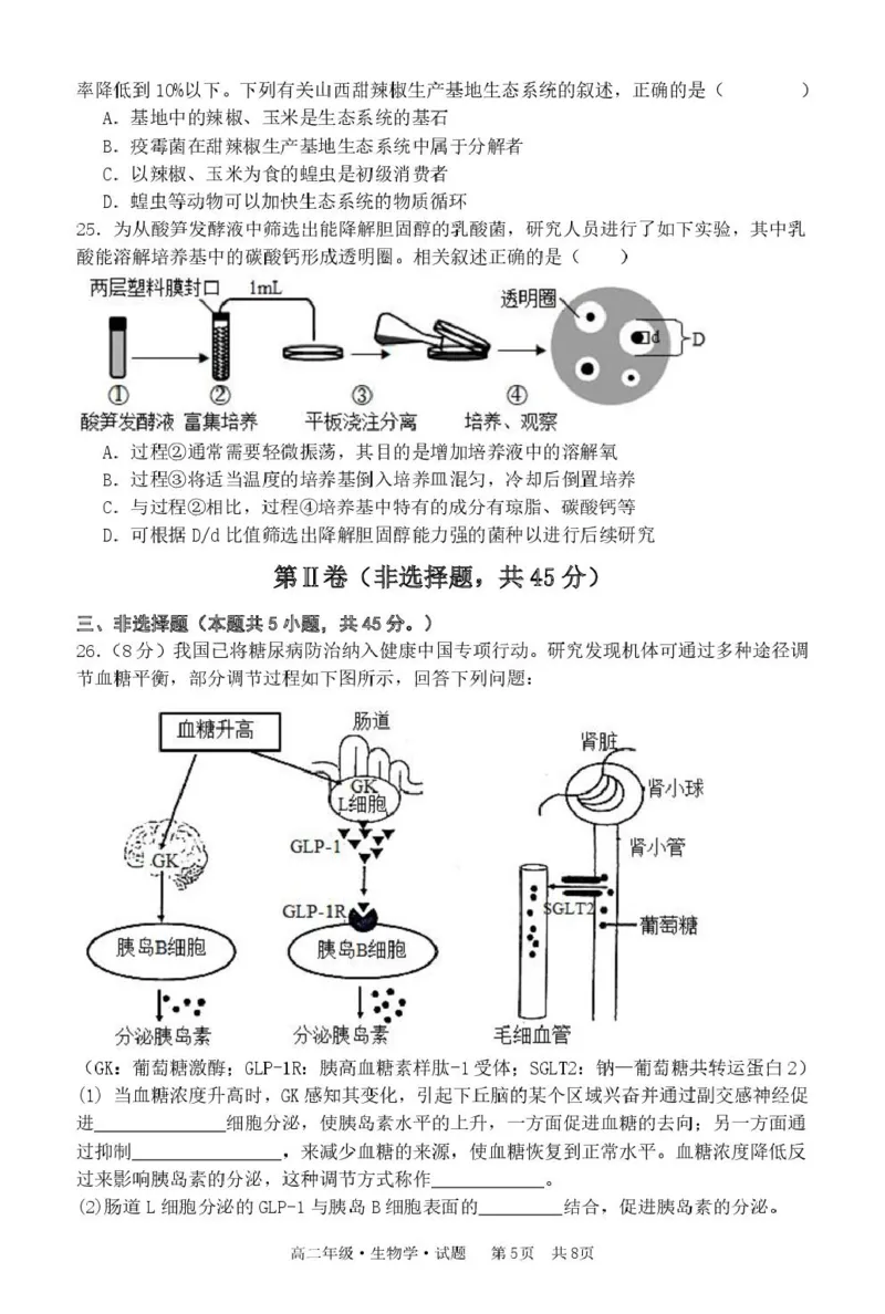 黑龙江省牡丹江市第二高级中学2025-2026学年高二上学期期末考试生物试卷_2024-2025高二（7-7月题库）_2026年1月高二_260131黑龙江省牡丹江市第二高级中学2025-2026学年高二上学期期末（全）