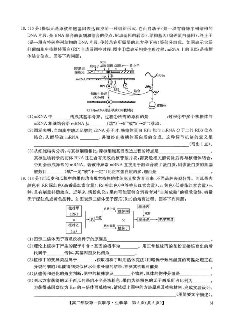 扫描件_生物学(1)_2025年11月高二试卷_251111江西省新十校协作体2025-2026学年高二上学期第一次联考试题_江西省新十校协作体2025-2026学年高二上学期第一次联考生物试题（图片版，含答案）