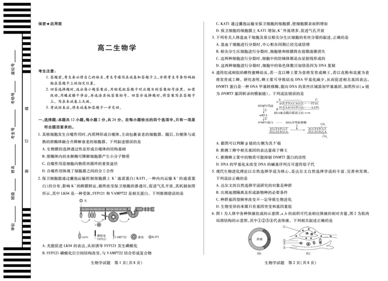 生物学湖南高二十月考_2025年10月高二试卷_251019天一大联考&middot;湖南省2025-2026学年高二上学期10月联考（全）