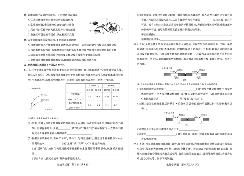 生物学湖南高二十月考_2025年10月高二试卷_251019天一大联考&middot;湖南省2025-2026学年高二上学期10月联考（全）