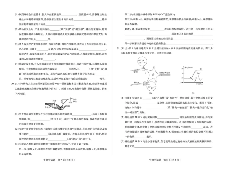 生物学湖南高二十月考_2025年10月高二试卷_251019天一大联考&middot;湖南省2025-2026学年高二上学期10月联考（全）