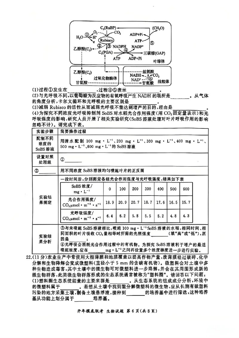 百师联盟2025届高三开年摸底联考生物S_2024-2025高三（6-6月题库）_2025年02月试卷_0217百师联盟2025届高三开年摸底联考（全科）_百师联盟2025届高三开年摸底联考生物