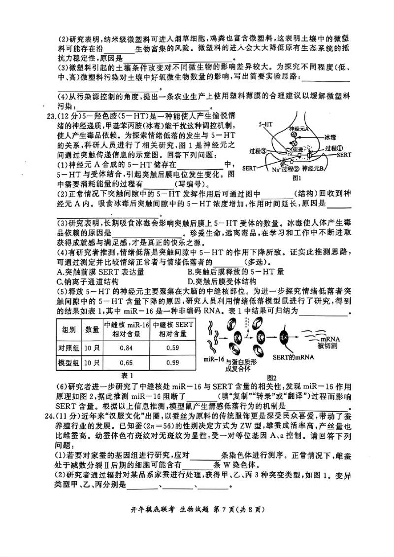 百师联盟2025届高三开年摸底联考生物S_2024-2025高三（6-6月题库）_2025年02月试卷_0217百师联盟2025届高三开年摸底联考（全科）_百师联盟2025届高三开年摸底联考生物