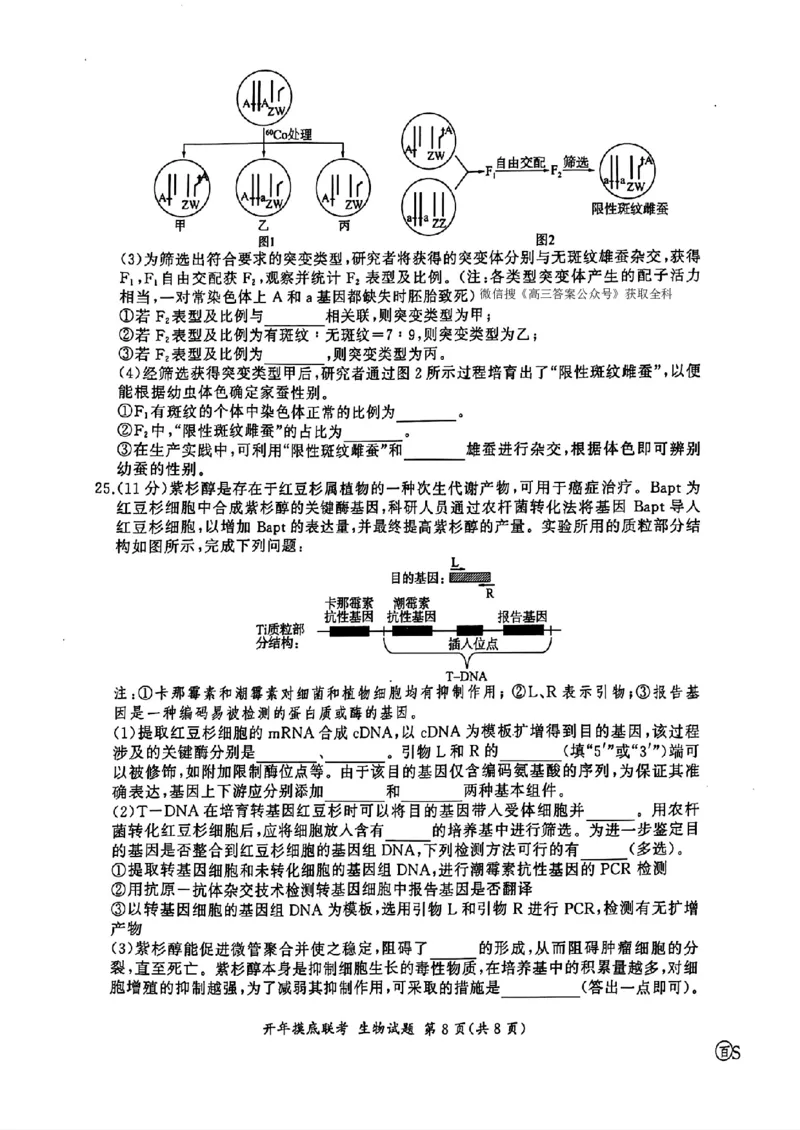 百师联盟2025届高三开年摸底联考生物S_2024-2025高三（6-6月题库）_2025年02月试卷_0217百师联盟2025届高三开年摸底联考（全科）_百师联盟2025届高三开年摸底联考生物