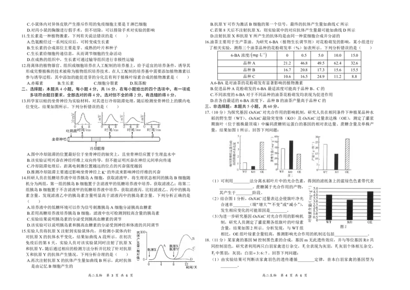 生物试题_2024-2025高二（7-7月题库）_2024年11月试卷_1118金太阳湖南省多校联考2024-2025学年高二上学期期中考试