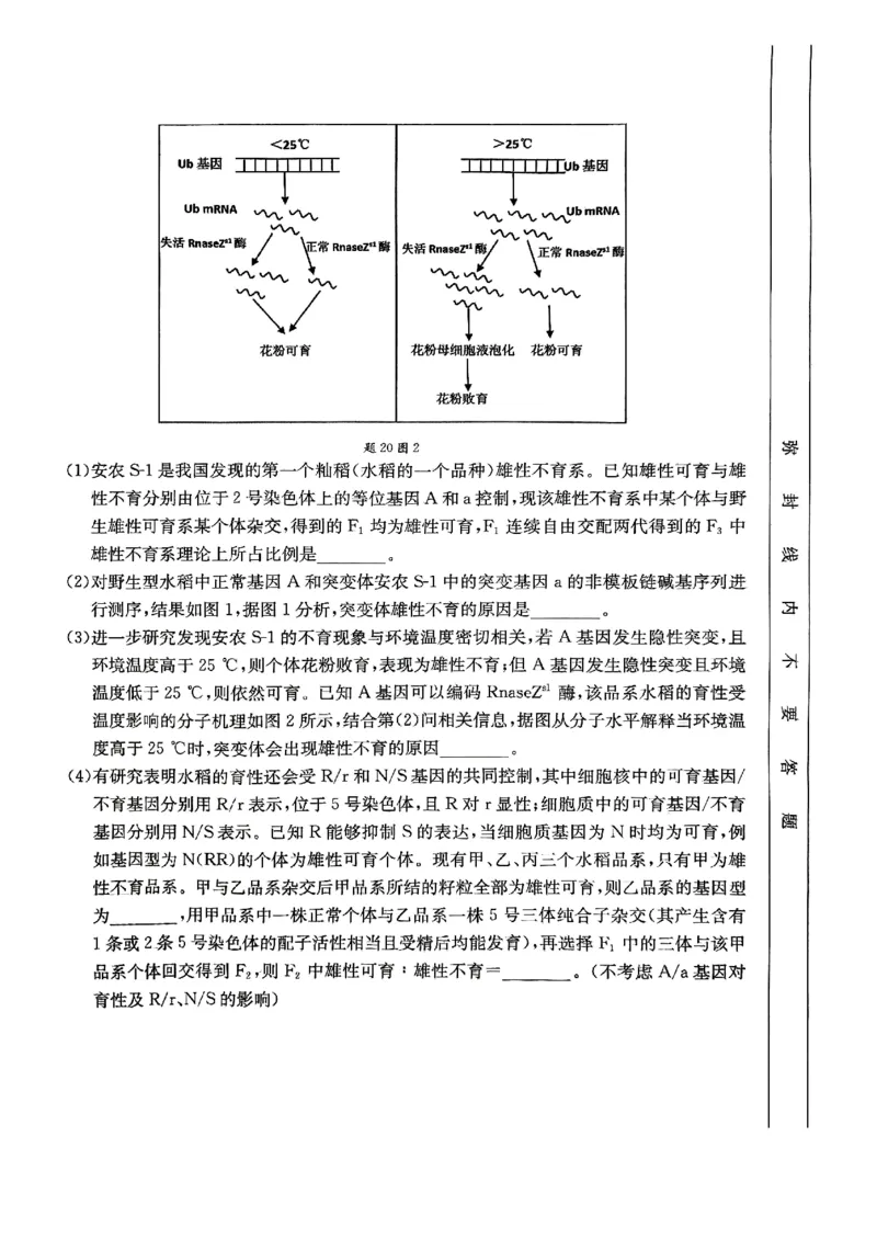 重庆好教育联盟2025届高三12月金太阳联考（25-222C）生物_2024-2025高三（6-6月题库）_2024年12月试卷_1223重庆好教育联盟2025届高三12月金太阳联考（25-222C）(全科）
