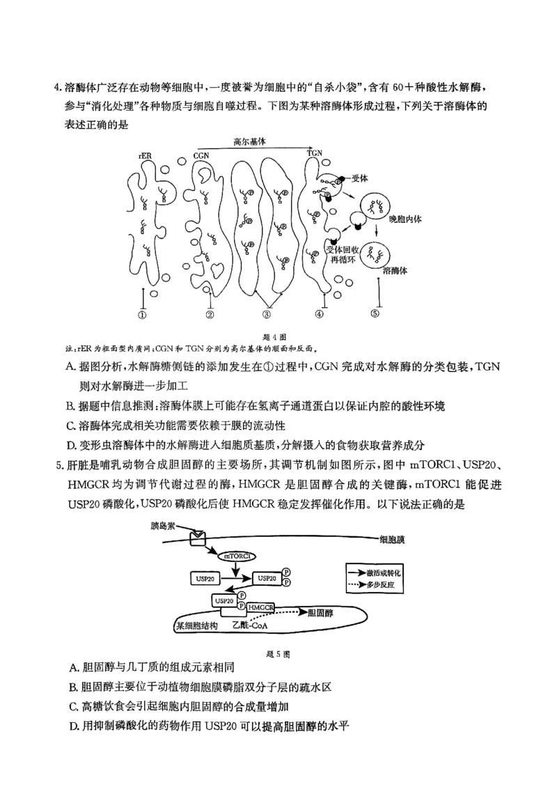 重庆好教育联盟2025届高三12月金太阳联考（25-222C）生物_2024-2025高三（6-6月题库）_2024年12月试卷_1223重庆好教育联盟2025届高三12月金太阳联考（25-222C）(全科）