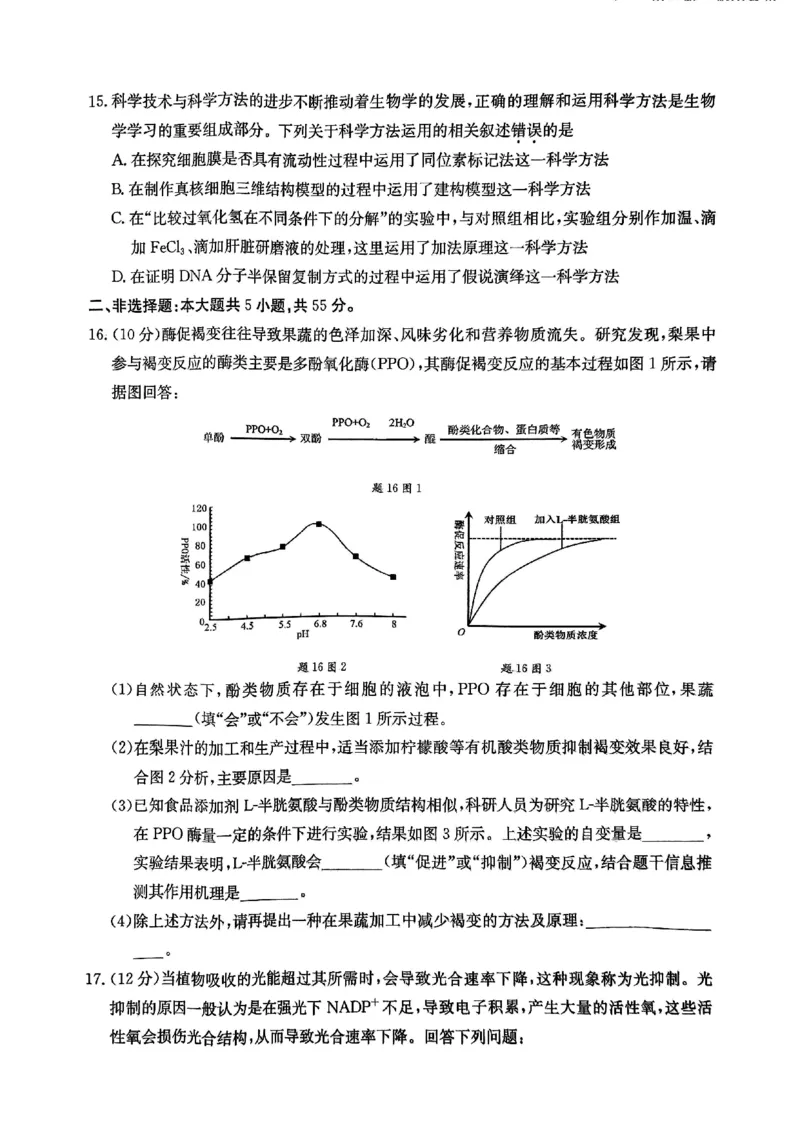 重庆好教育联盟2025届高三12月金太阳联考（25-222C）生物_2024-2025高三（6-6月题库）_2024年12月试卷_1223重庆好教育联盟2025届高三12月金太阳联考（25-222C）(全科）