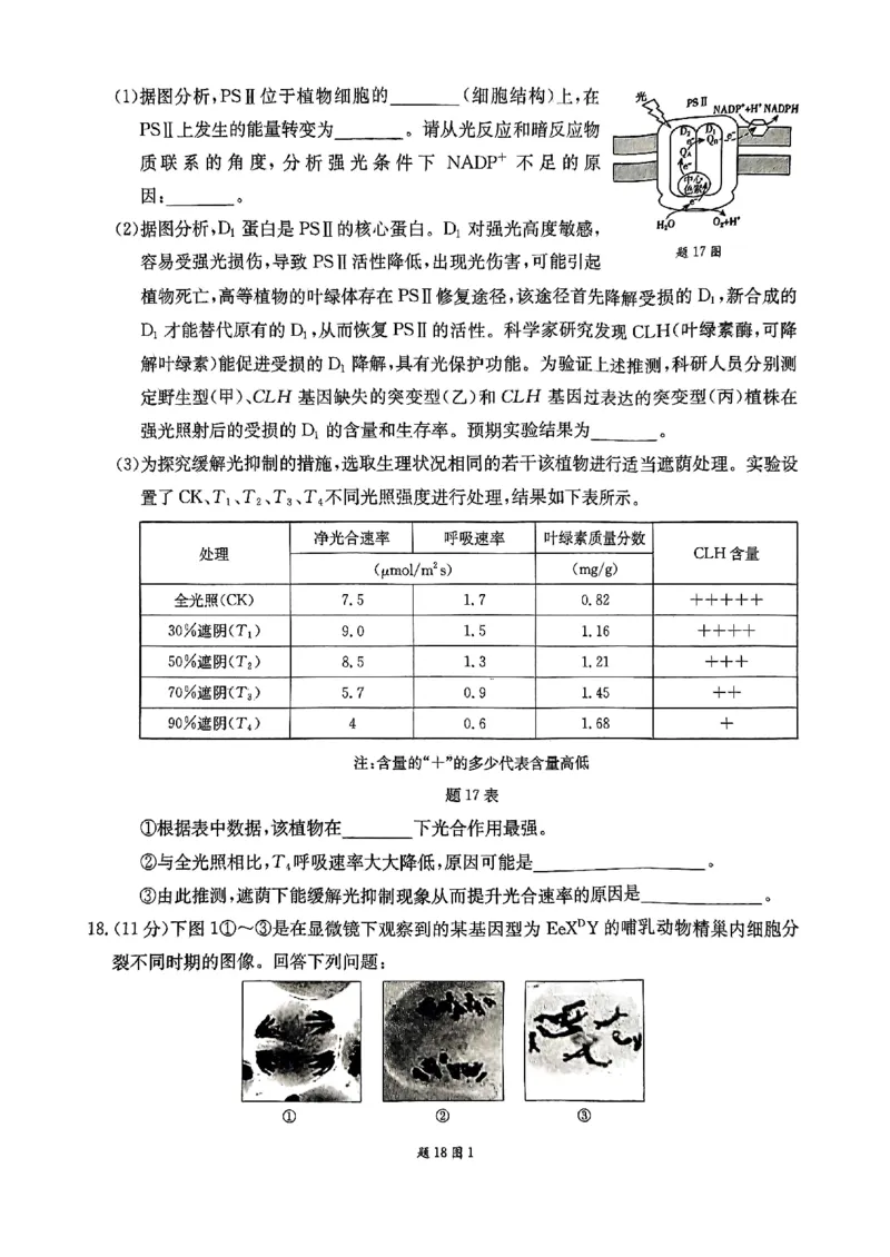 重庆好教育联盟2025届高三12月金太阳联考（25-222C）生物_2024-2025高三（6-6月题库）_2024年12月试卷_1223重庆好教育联盟2025届高三12月金太阳联考（25-222C）(全科）