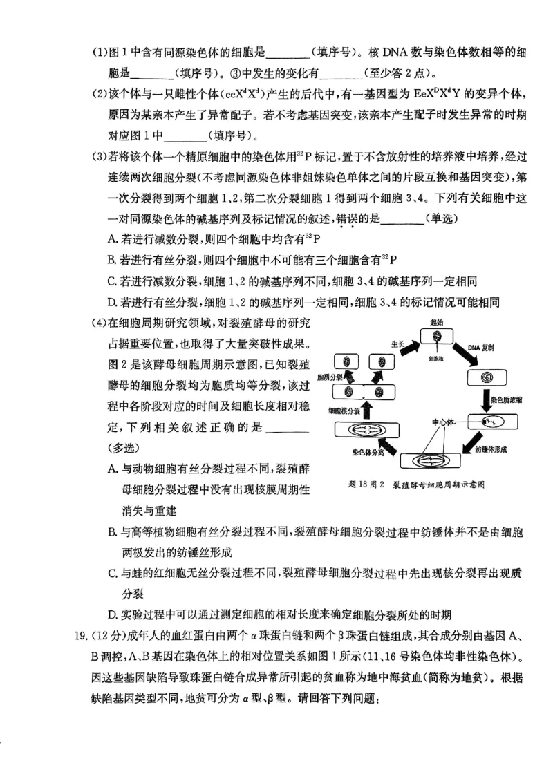 重庆好教育联盟2025届高三12月金太阳联考（25-222C）生物_2024-2025高三（6-6月题库）_2024年12月试卷_1223重庆好教育联盟2025届高三12月金太阳联考（25-222C）(全科）