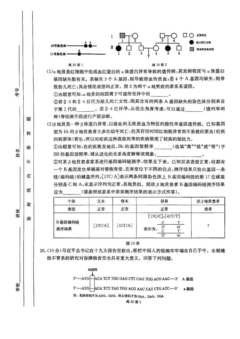 重庆好教育联盟2025届高三12月金太阳联考（25-222C）生物_2024-2025高三（6-6月题库）_2024年12月试卷_1223重庆好教育联盟2025届高三12月金太阳联考（25-222C）(全科）