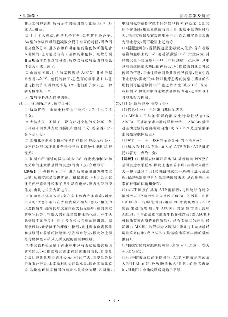 生物2024年辽宁高三12月联考答案_2024-2025高三（6-6月题库）_2024年12月试卷_1210辽宁省名校联盟2024年高三12月份联合考试_辽宁省名校联盟2024年高三12月份联合考试生物试卷