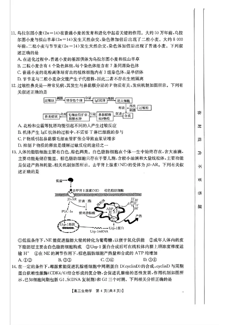 生物-2025届12月广东福建金太阳联考25-198C_2024-2025高三（6-6月题库）_2024年12月试卷_12212025届12月广东福建金太阳联考25-198C