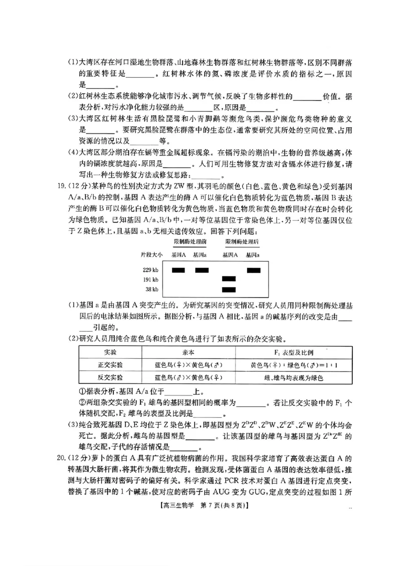 生物-2025届12月广东福建金太阳联考25-198C_2024-2025高三（6-6月题库）_2024年12月试卷_12212025届12月广东福建金太阳联考25-198C