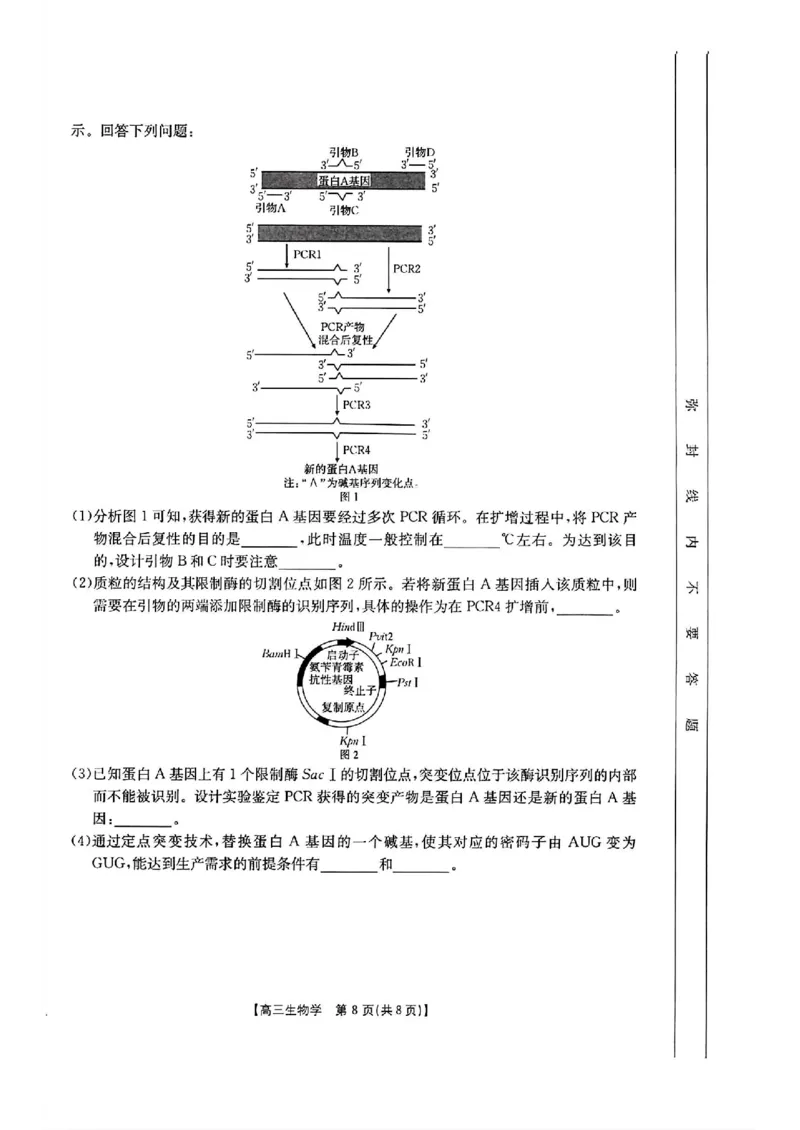 生物-2025届12月广东福建金太阳联考25-198C_2024-2025高三（6-6月题库）_2024年12月试卷_12212025届12月广东福建金太阳联考25-198C