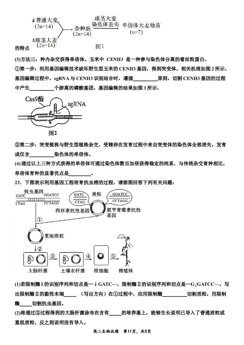 生物月考题最终版_2024-2025高二（7-7月题库）_2025年03月试卷_0321山东省济宁市嘉祥一中2024-2025学年高二下学期3月月考