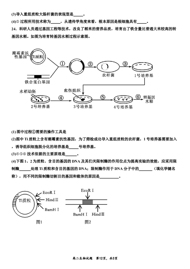 生物月考题最终版_2024-2025高二（7-7月题库）_2025年03月试卷_0321山东省济宁市嘉祥一中2024-2025学年高二下学期3月月考
