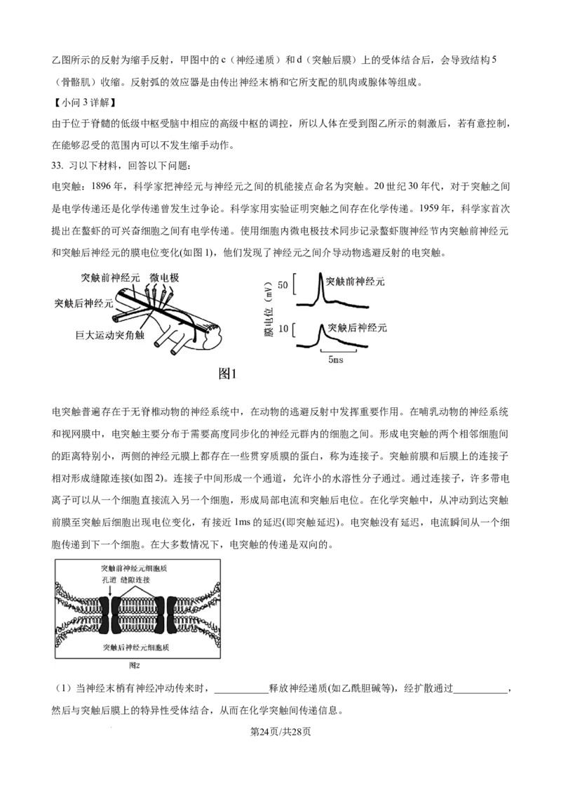 精品解析：河南省南阳市第一中学校2025-2026学年高二上学期9月月考生物试题（解析版）_2025年10月高二试卷_251008河南省南阳市第一中学校2025-2026学年高二上学期第一次月考（全）