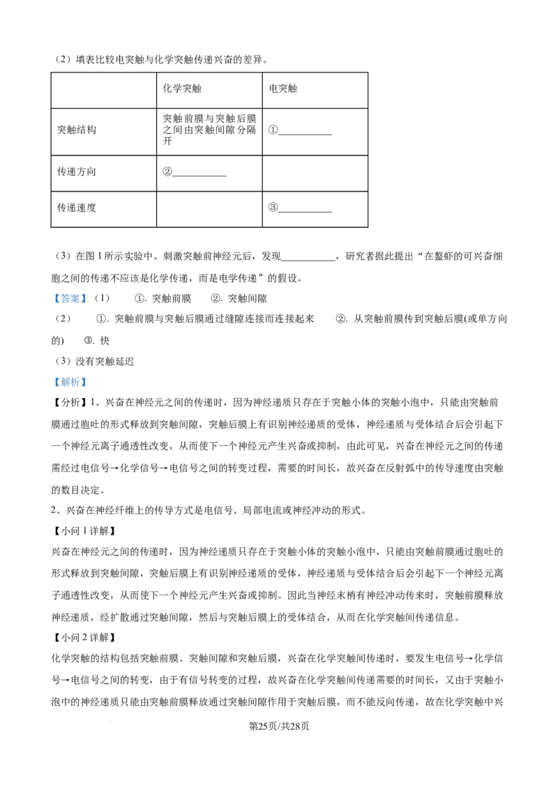 精品解析：河南省南阳市第一中学校2025-2026学年高二上学期9月月考生物试题（解析版）_2025年10月高二试卷_251008河南省南阳市第一中学校2025-2026学年高二上学期第一次月考（全）