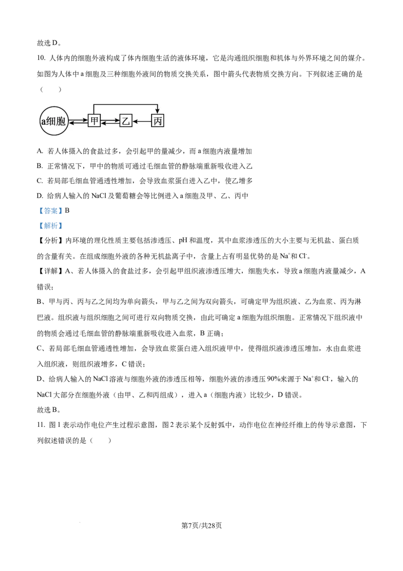 精品解析：河南省南阳市第一中学校2025-2026学年高二上学期9月月考生物试题（解析版）_2025年10月高二试卷_251008河南省南阳市第一中学校2025-2026学年高二上学期第一次月考（全）