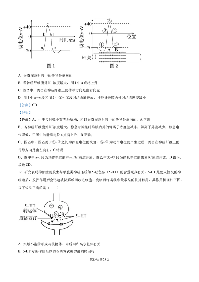 精品解析：河南省南阳市第一中学校2025-2026学年高二上学期9月月考生物试题（解析版）_2025年10月高二试卷_251008河南省南阳市第一中学校2025-2026学年高二上学期第一次月考（全）