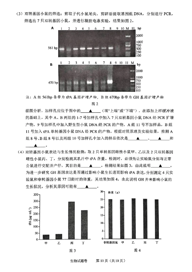 生物试卷_2024-2025高三（6-6月题库）_2024年11月试卷_1109浙江省绍兴市一模2024-2025学年11月诊断考试_绍兴市一模生物
