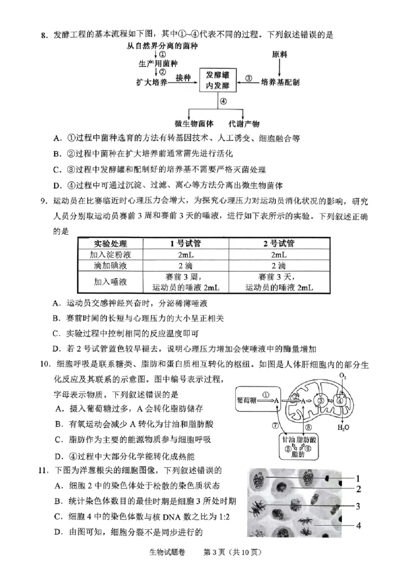 生物试卷_2024-2025高三（6-6月题库）_2024年11月试卷_1109浙江省绍兴市一模2024-2025学年11月诊断考试_绍兴市一模生物