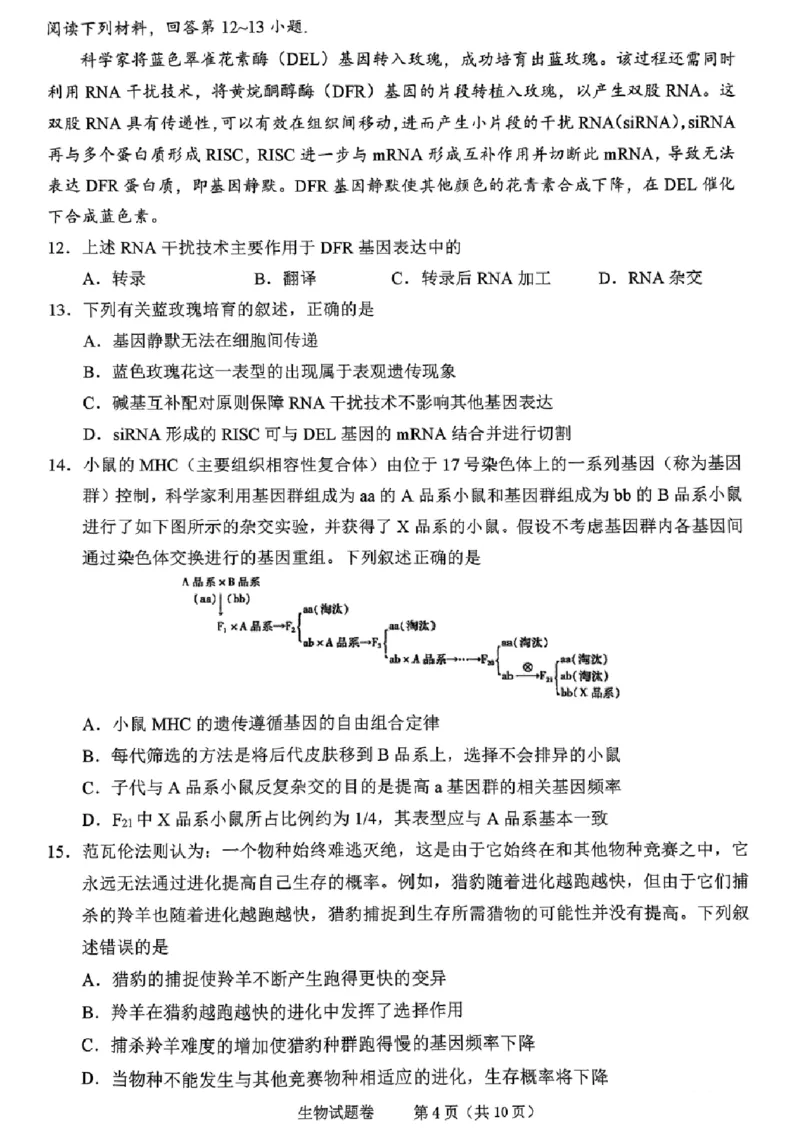 生物试卷_2024-2025高三（6-6月题库）_2024年11月试卷_1109浙江省绍兴市一模2024-2025学年11月诊断考试_绍兴市一模生物