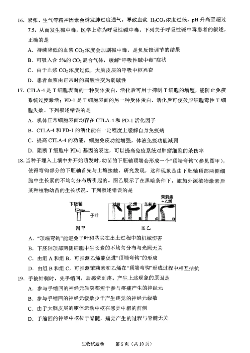 生物试卷_2024-2025高三（6-6月题库）_2024年11月试卷_1109浙江省绍兴市一模2024-2025学年11月诊断考试_绍兴市一模生物